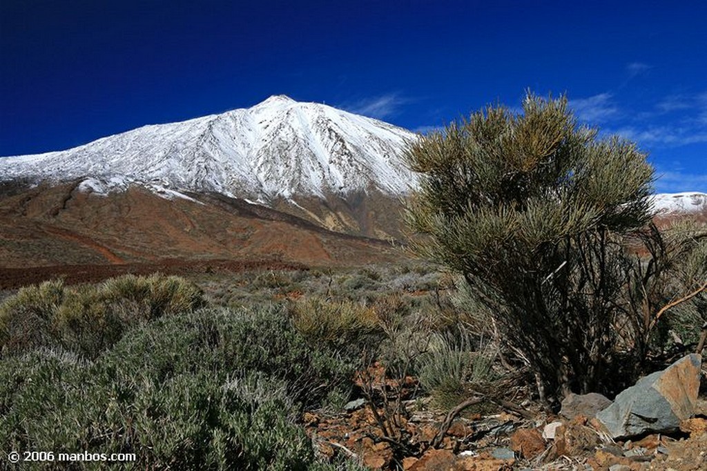 Tenerife
El Teide nevado
Canarias