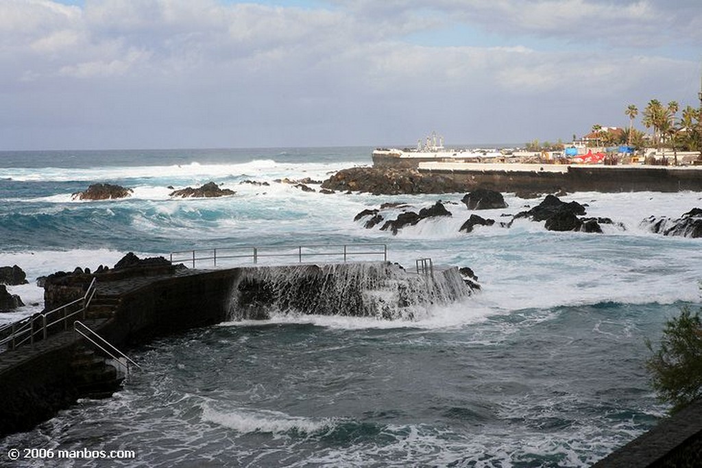 Tenerife
Ave del paraiso
Canarias