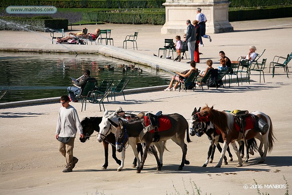 Paris
Paris