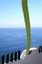 Tenerife
Taginaste
Canarias