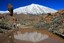 Tenerife
El Teide nevado
Canarias