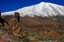 Tenerife
El Teide nevado
Canarias