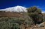Tenerife
El Teide nevado
Canarias