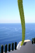 Puerto de la Cruz, Tenerife, España