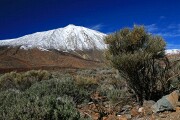 Parque Nacional de las Cañadas, Tenerife, España