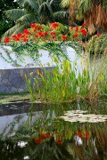 Jardin Botanico de Puerto de la Cruz, Tenerife, España