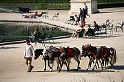 Tuileries, Paris, Francia