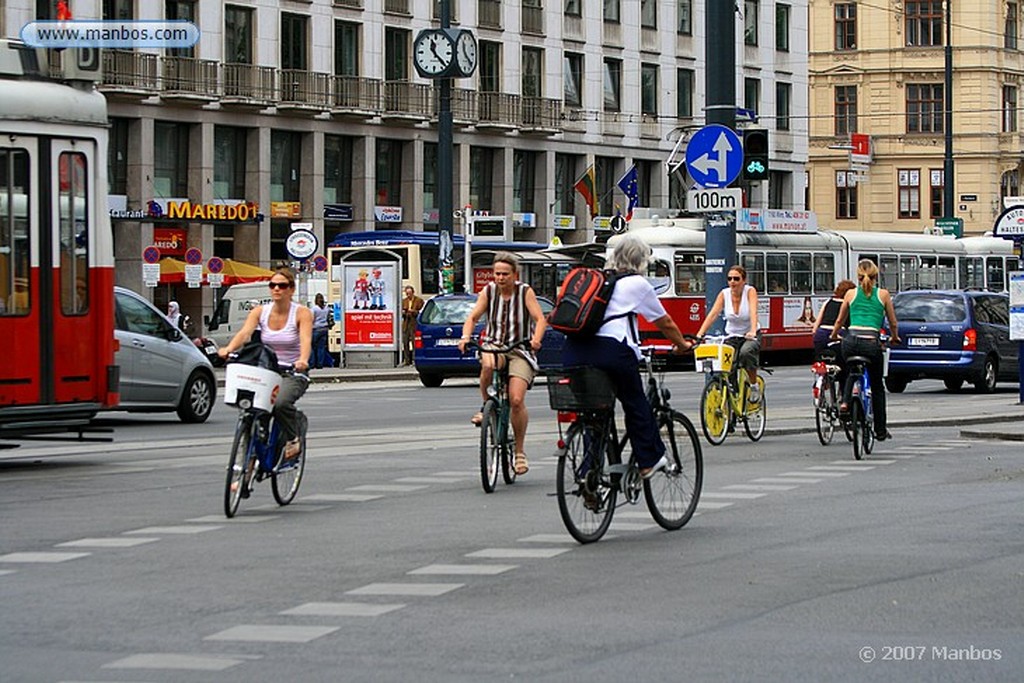 Viena
Viena
