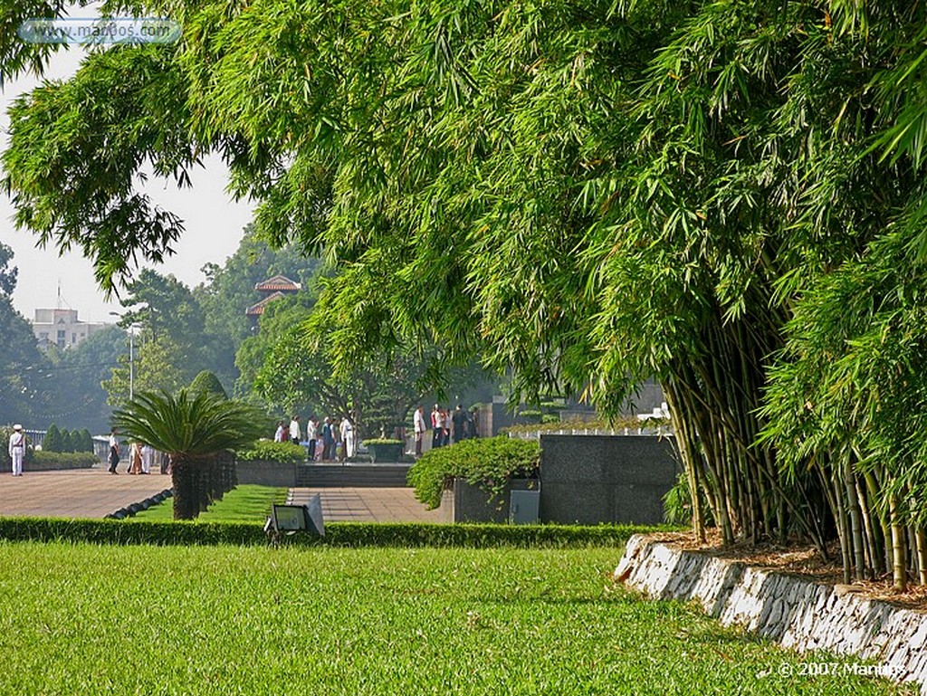 Hanoi
Jardines de Bambu
Hanoi