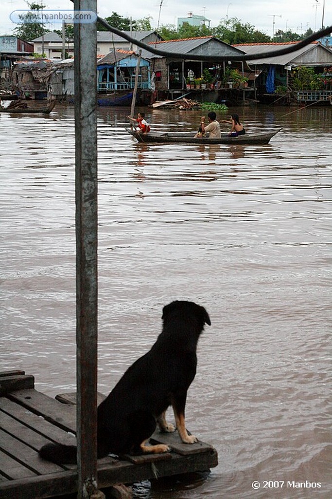 Chau Doc
Cebando a los peces
Chau Doc