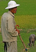 Da Phuc, Da Phuc, Vietnam