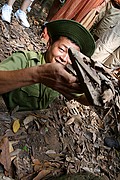 Tuneles de Cu Chi, Tuneles de Cu Chi, Vietnam