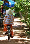 Rio Mekong, Rio Mekong, Vietnam