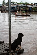 Poblado Champa, Chau Doc, Vietnam