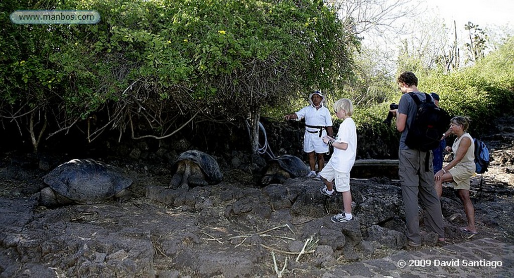 Islas Galapagos
Estación biologica Charles Darwin Santa Cruz Galápagos
Islas Galapagos