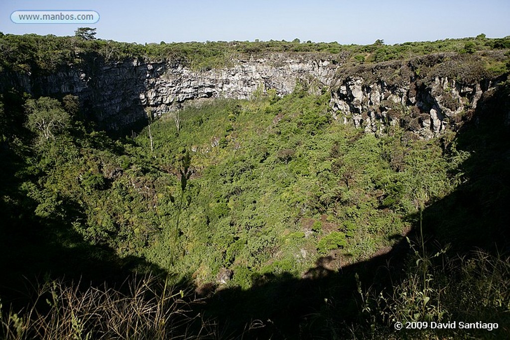 Islas Galapagos
Los gemelos  Isla de Santa Cruz Galápagos
Islas Galapagos