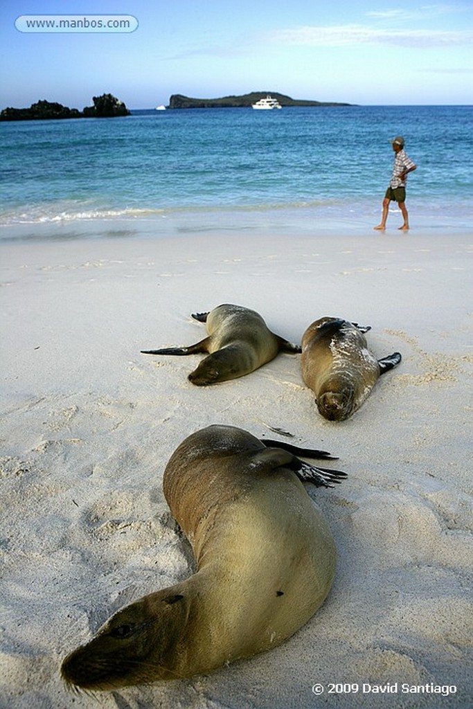 Islas Galapagos
Bahia Gardner Isla Española Galápagos
Islas Galapagos