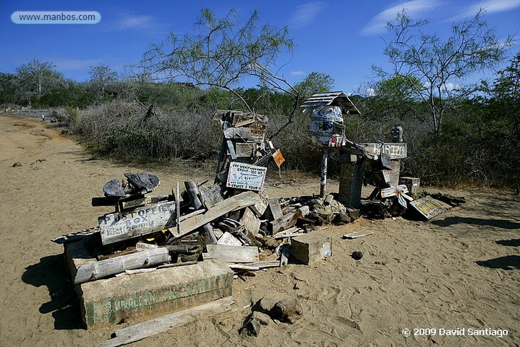 Islas Galapagos
FloreanaRAW
Islas Galapagos