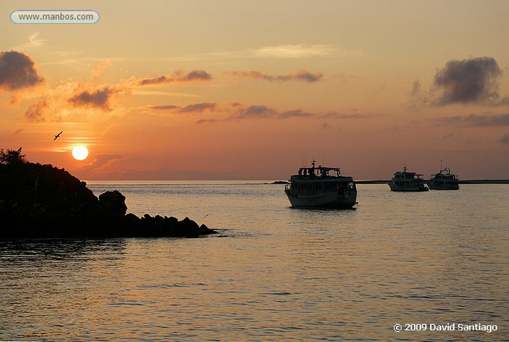 Islas Galapagos
Isla Seymour Galapagos
Islas Galapagos