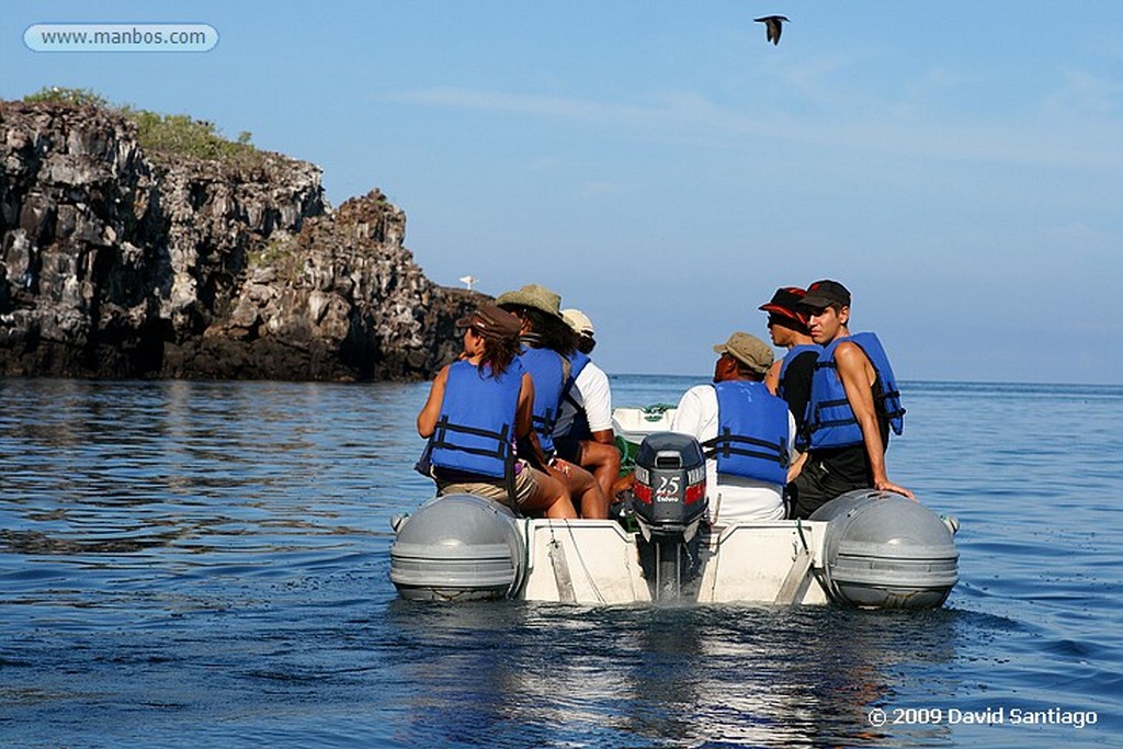 Islas Galapagos
Barco Golondrina Isla Genovesa Galápagos
Islas Galapagos