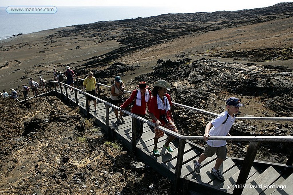 Islas Galapagos
Isla de San Bartolome Galapagos
Islas Galapagos