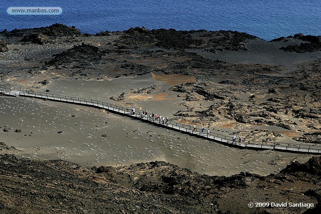 Islas Galapagos
Isla de San Bartolome Galapagos
Islas Galapagos