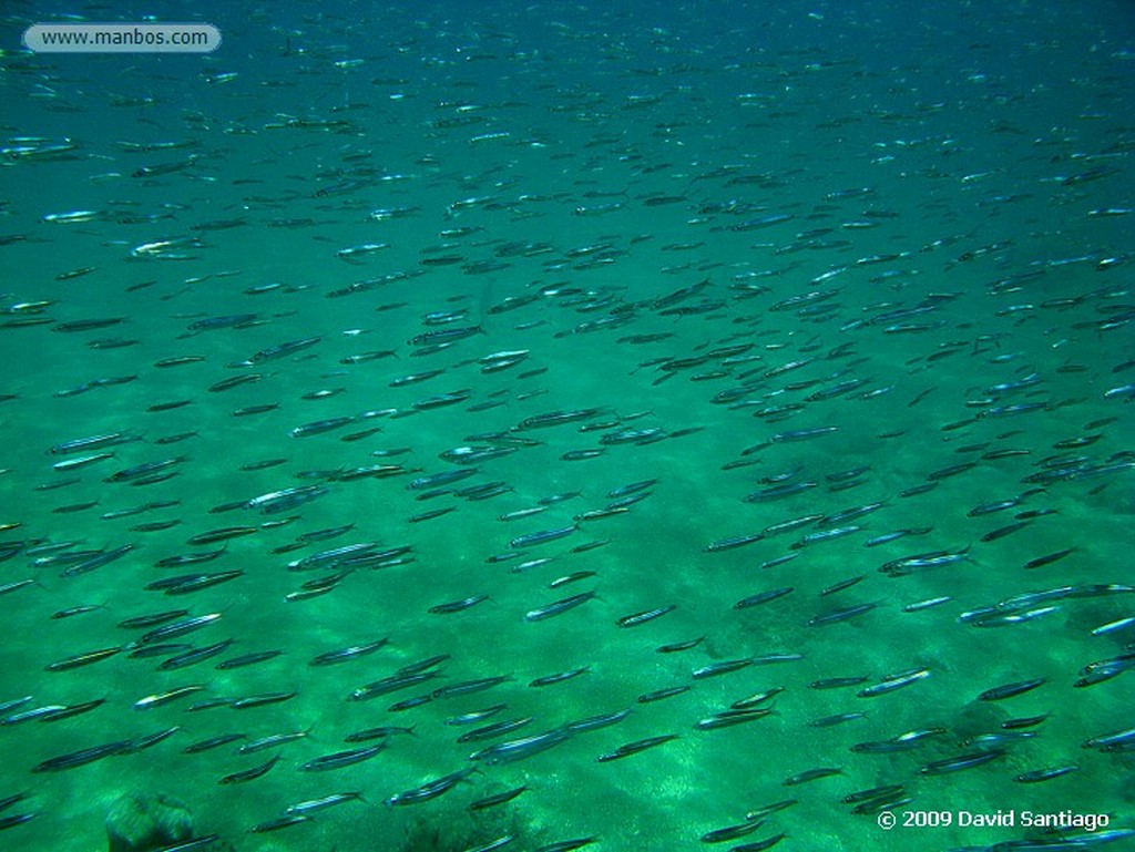 Islas Galapagos
Isla de San Bartolome Galapagos
Islas Galapagos