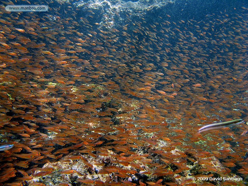 Islas Galapagos
Isla de San Bartolome Galapagos
Islas Galapagos