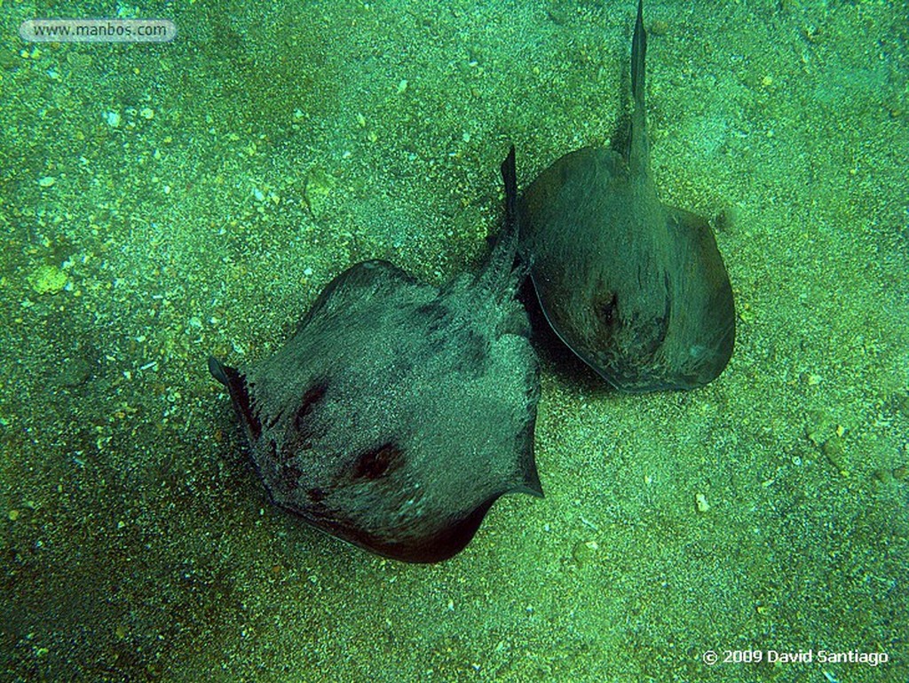 Islas Galapagos
Isla de San Bartolome Galapagos
Islas Galapagos