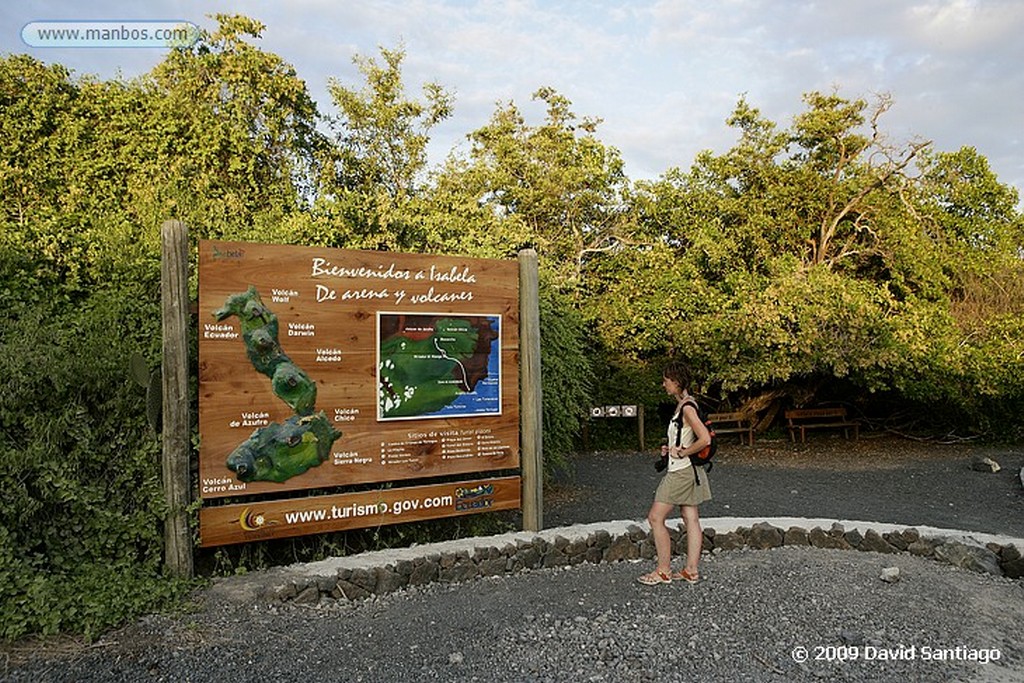 Islas Galapagos
Puerto Villamil Isabela Galápagos
Islas Galapagos