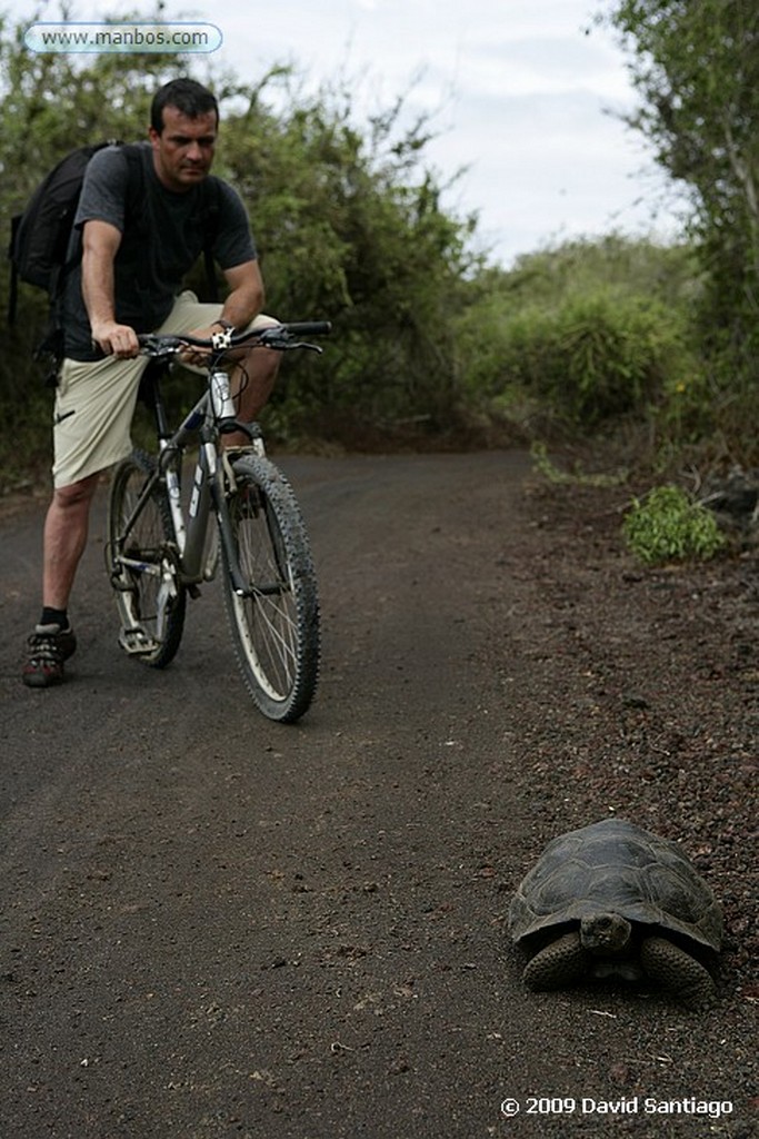 Islas Galapagos
Puerto Villamil Isabela Galápagos
Islas Galapagos