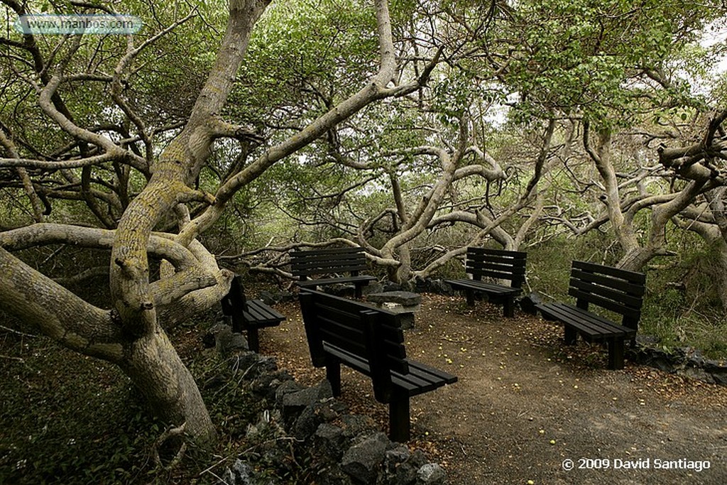 Islas Galapagos
Centro de cria en cautividad de tortugas Isabela Galápagos
Islas Galapagos