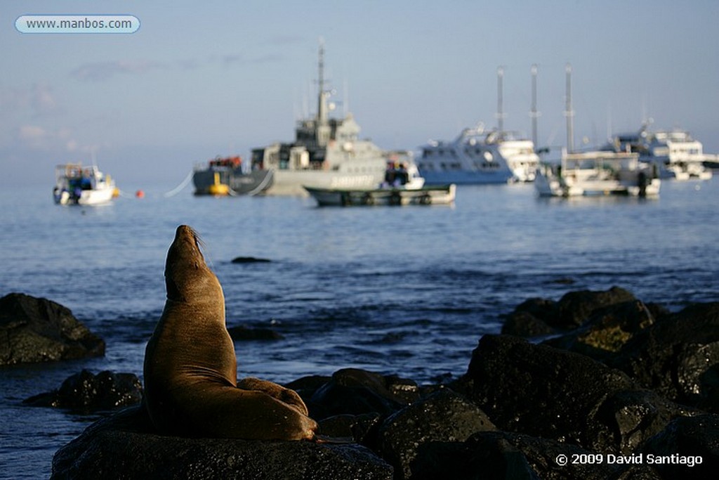 Islas Galapagos
San Cristobal Galápagos
Islas Galapagos