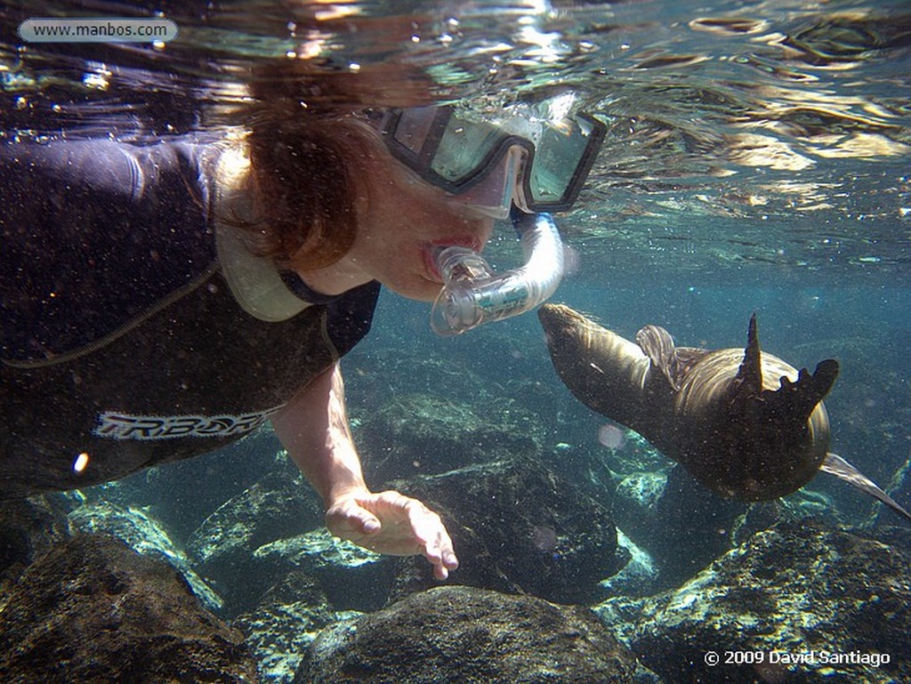 Islas Galapagos
San Cristobal Galápagos
Islas Galapagos