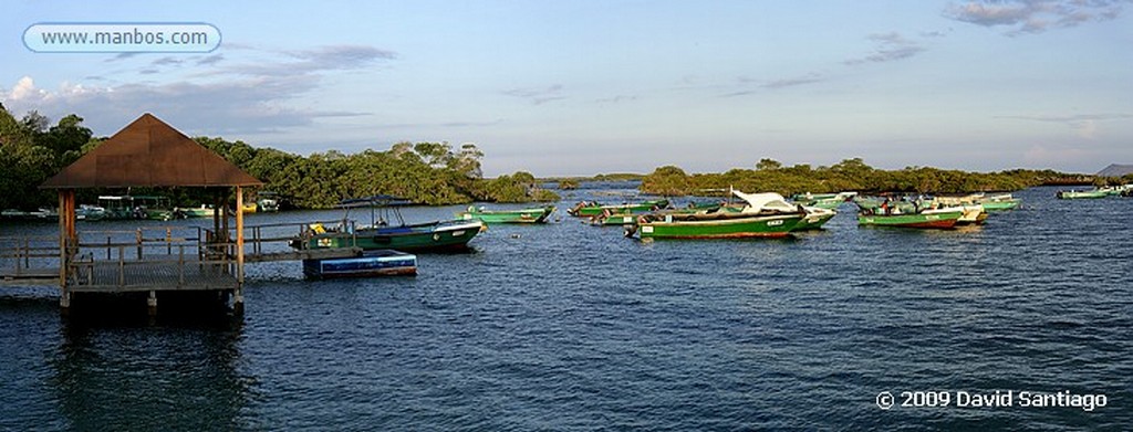 Islas Galapagos
Volcan Chico Isabela Galápagos
Islas Galapagos