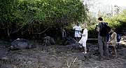 Islas Galapagos, Islas Galapagos, Ecuador