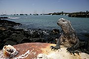 Islas Galapagos, Islas Galapagos, Ecuador