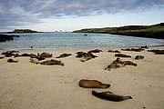 Islas Galapagos, Islas Galapagos, Ecuador