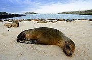 Islas Galapagos, Islas Galapagos, Ecuador