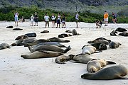 Islas Galapagos, Islas Galapagos, Ecuador