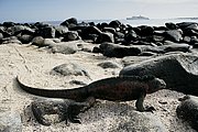 Islas Galapagos, Islas Galapagos, Ecuador