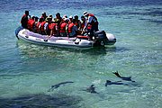 Islas Galapagos, Islas Galapagos, Ecuador