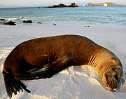 Islas Galapagos, Islas Galapagos, Ecuador