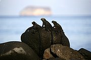 Islas Galapagos, Islas Galapagos, Ecuador