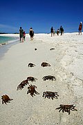 Islas Galapagos, Islas Galapagos, Ecuador