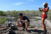 Islas Galapagos, Islas Galapagos, Ecuador