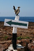 Islas Galapagos, Islas Galapagos, Ecuador
