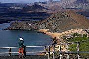 Objetivo 100 to 400
Isla de San Bartolome Galapagos
Islas Galapagos
ISLAS GALAPAGOS
Foto: 18501