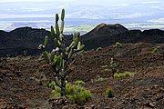 Islas Galapagos, Islas Galapagos, Ecuador