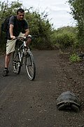 Islas Galapagos, Islas Galapagos, Ecuador